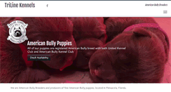 Desktop Screenshot of americanbully.pro